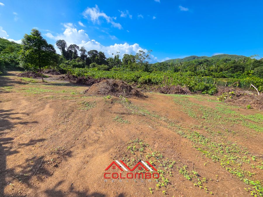 Large 34 acre Commercial / Industrial land for sale in Thudugala in Kalutara, just minutes from the Dodangoda exit of the Southern Expressway
