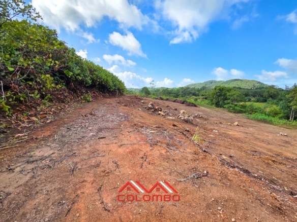 Large 34 acre Commercial / Industrial land for sale in Thudugala in Kalutara, just minutes from the Dodangoda exit of the Southern Expressway